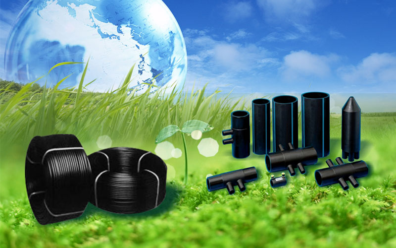 ���ޡ�bwin��Ӯ����(�й�)�ٷ���վ