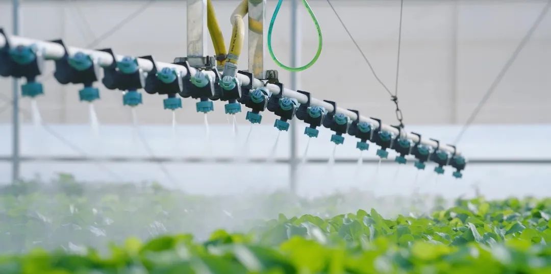 ���ޡ�bwin��Ӯ����(�й�)�ٷ���վ