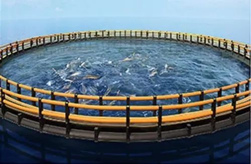 ���ޡ�bwin��Ӯ����(�й�)�ٷ���վ