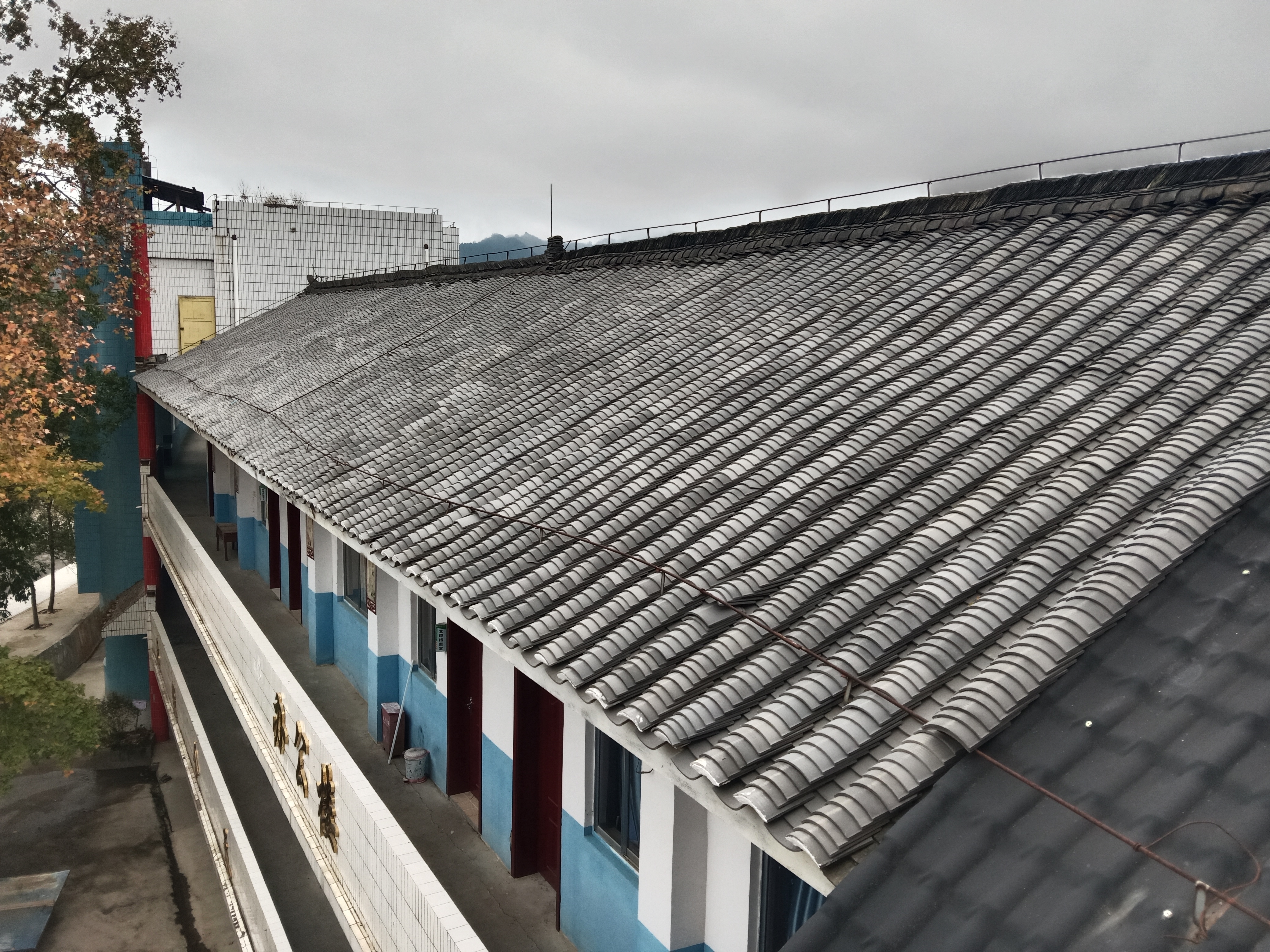 ���ޱ�Ӯ���ž�������������ѧˢ�¹���