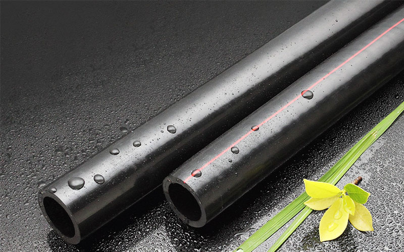 ��˿���Ǽ����ϸ��Ϲ�