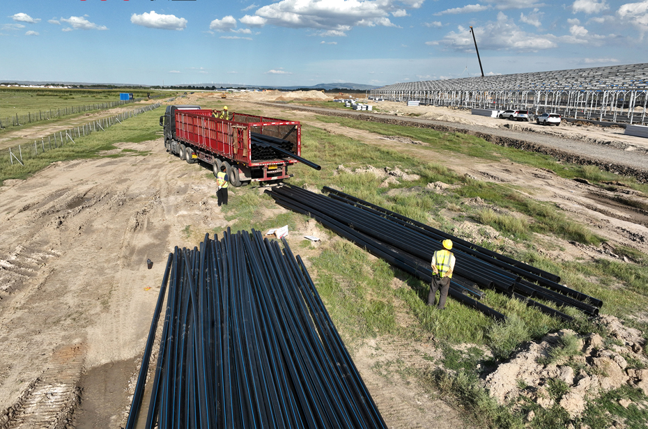 ef04f022fade21d1c0e46f7455befdbe